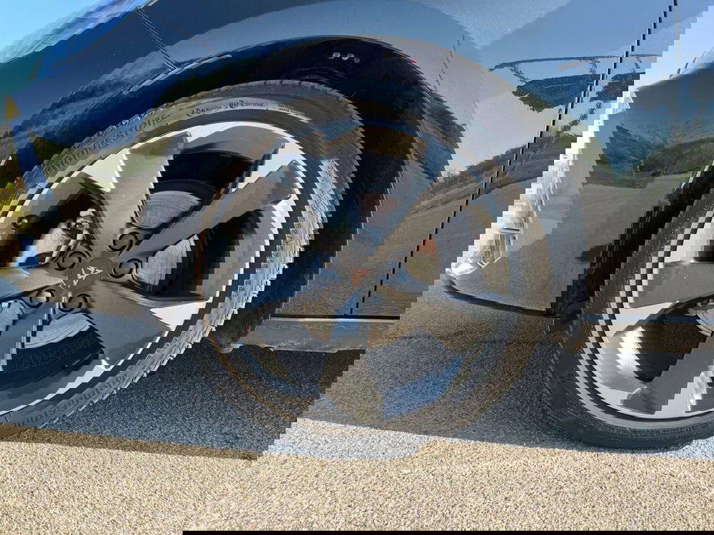 Cupra Leon usata a Siena (19)