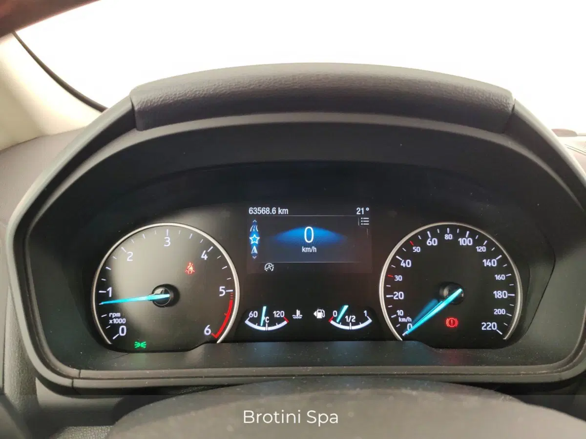 Ford EcoSport usata a Massa-Carrara (15)