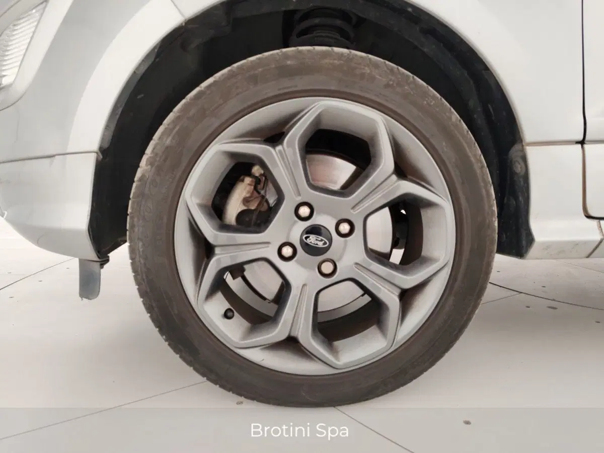Ford EcoSport usata a Massa-Carrara (7)