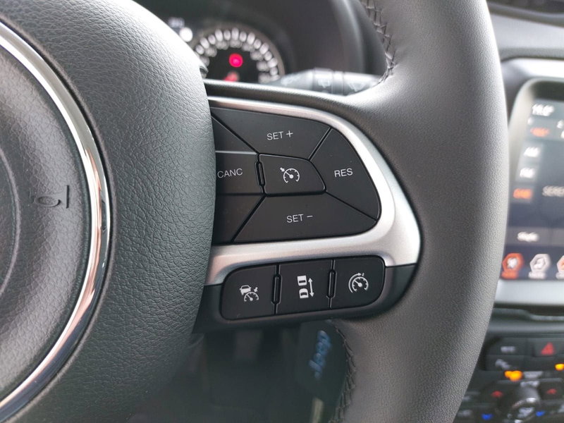 Jeep Renegade usata a Pavia (10)