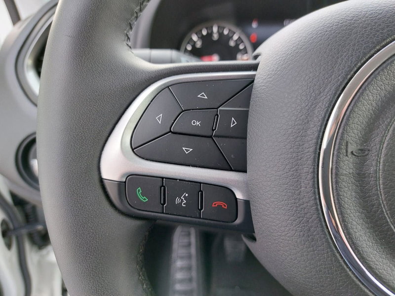 Jeep Renegade usata a Pavia (11)