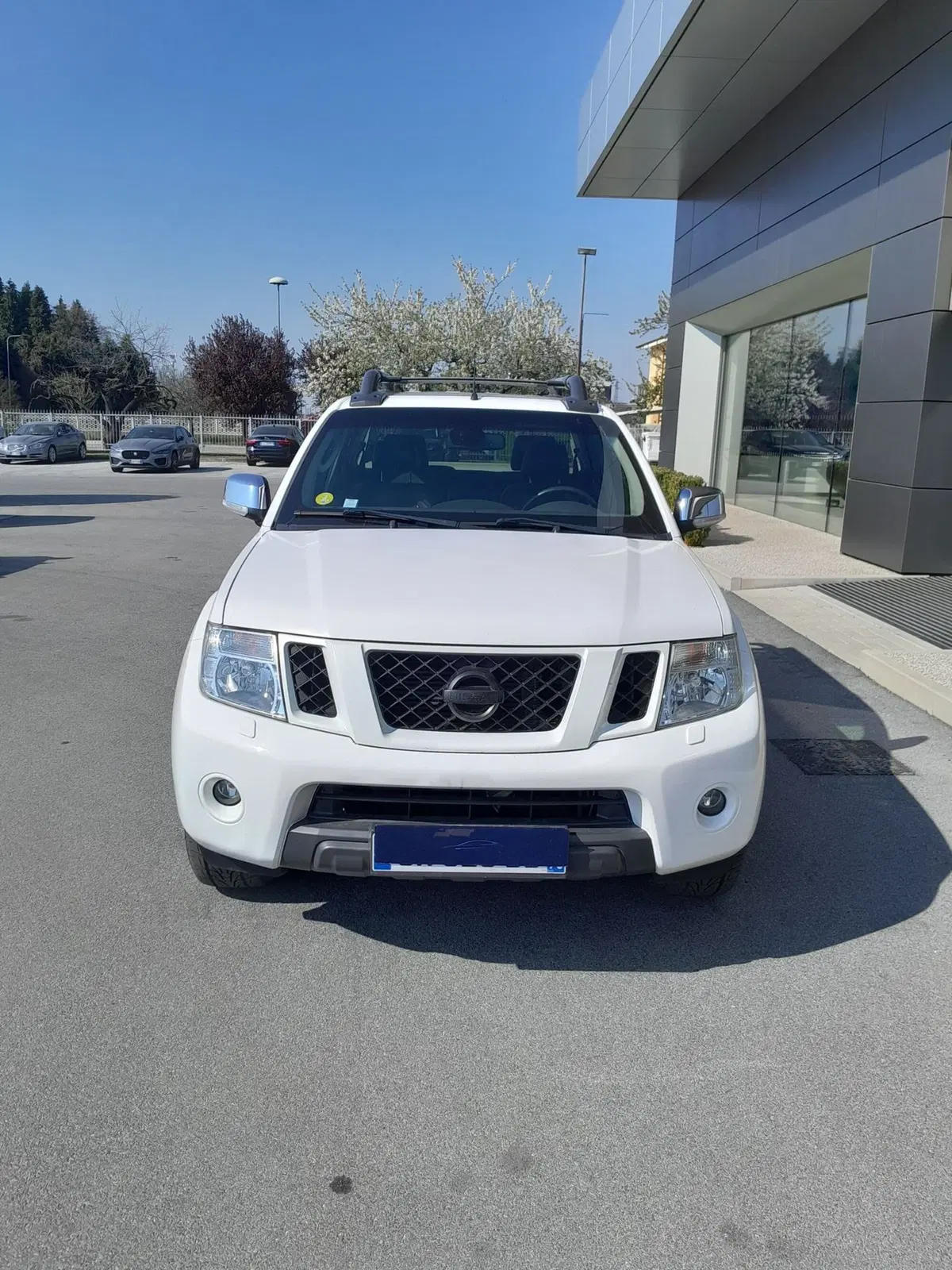 Nissan Navara usata a Cuneo (2)
