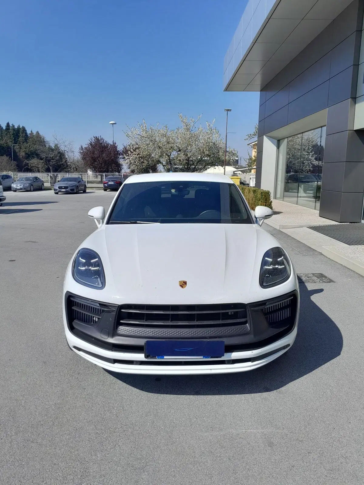 Porsche Macan usata a Cuneo (2)
