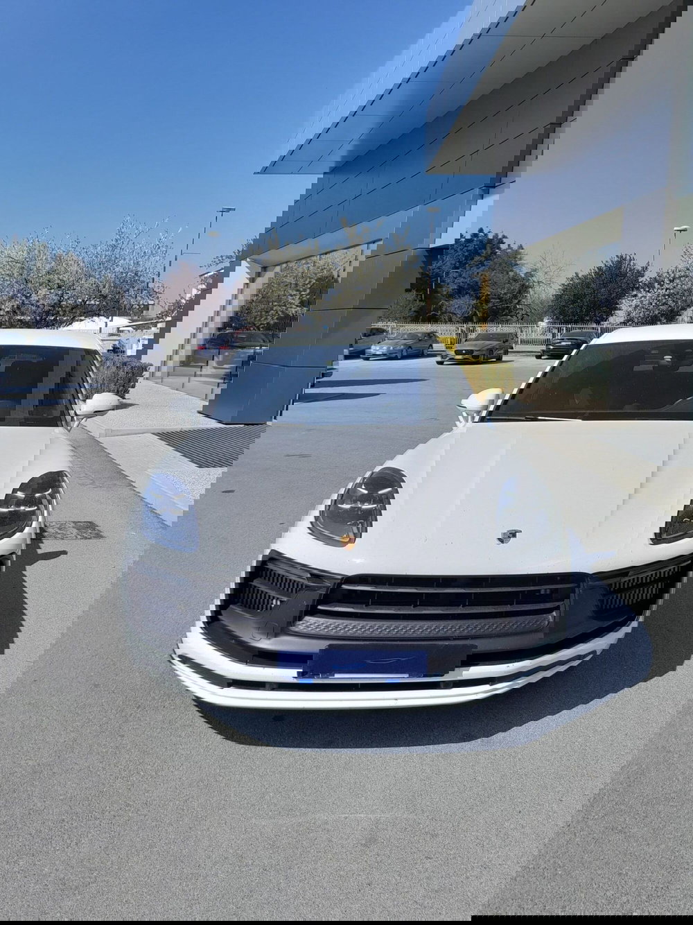 Porsche Macan usata a Cuneo (2)