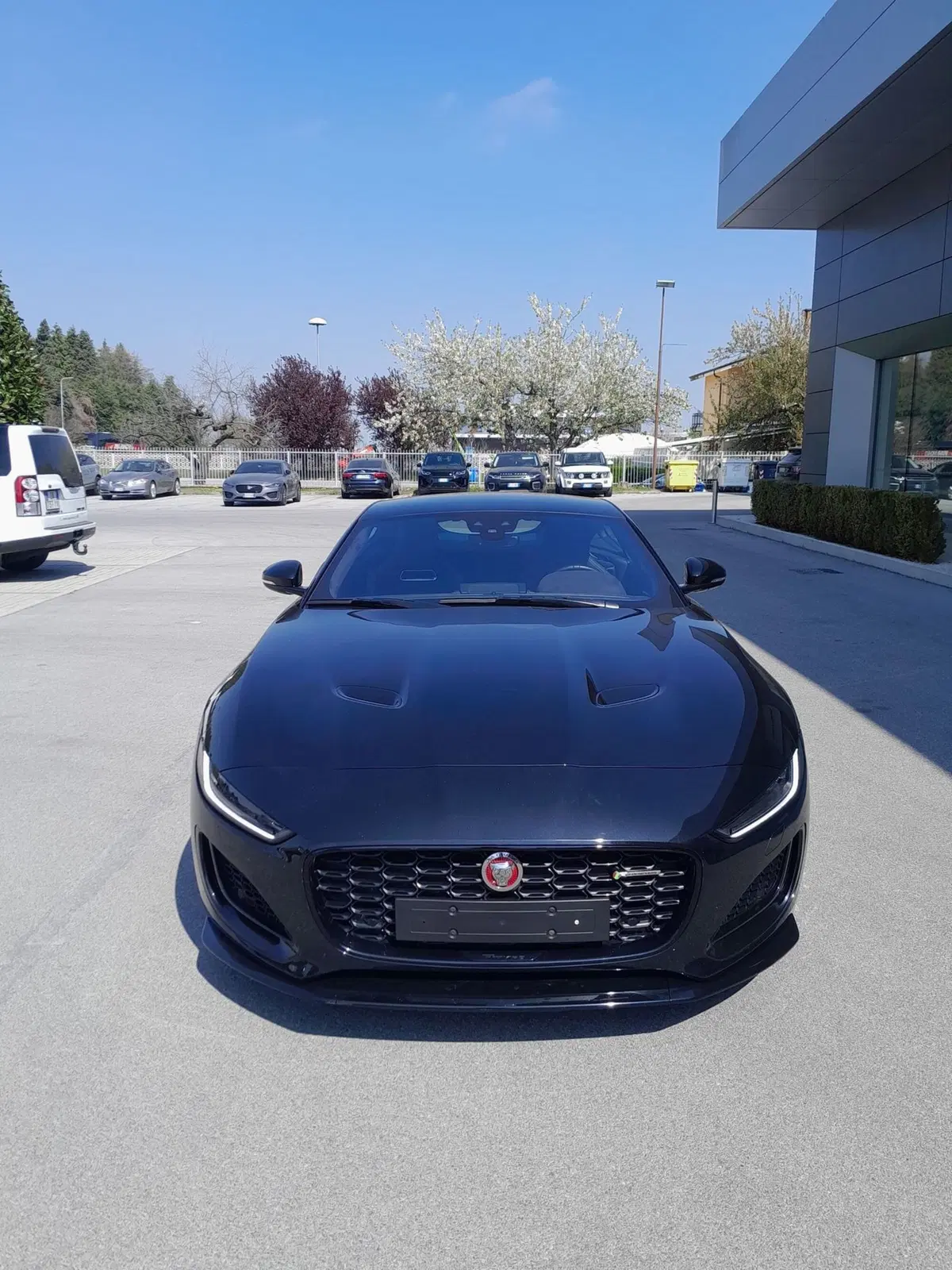 Jaguar F-Type Coupé usata a Cuneo (2)