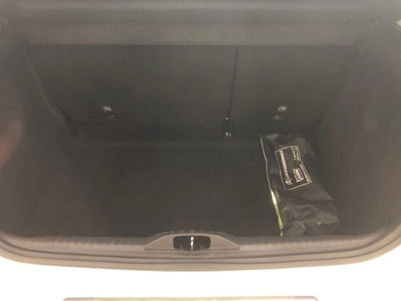 Citroen C3 usata a Torino (7)