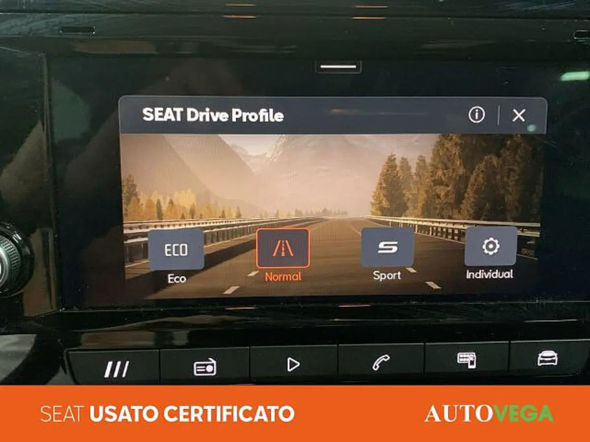 SEAT Ibiza usata a Vicenza (16)