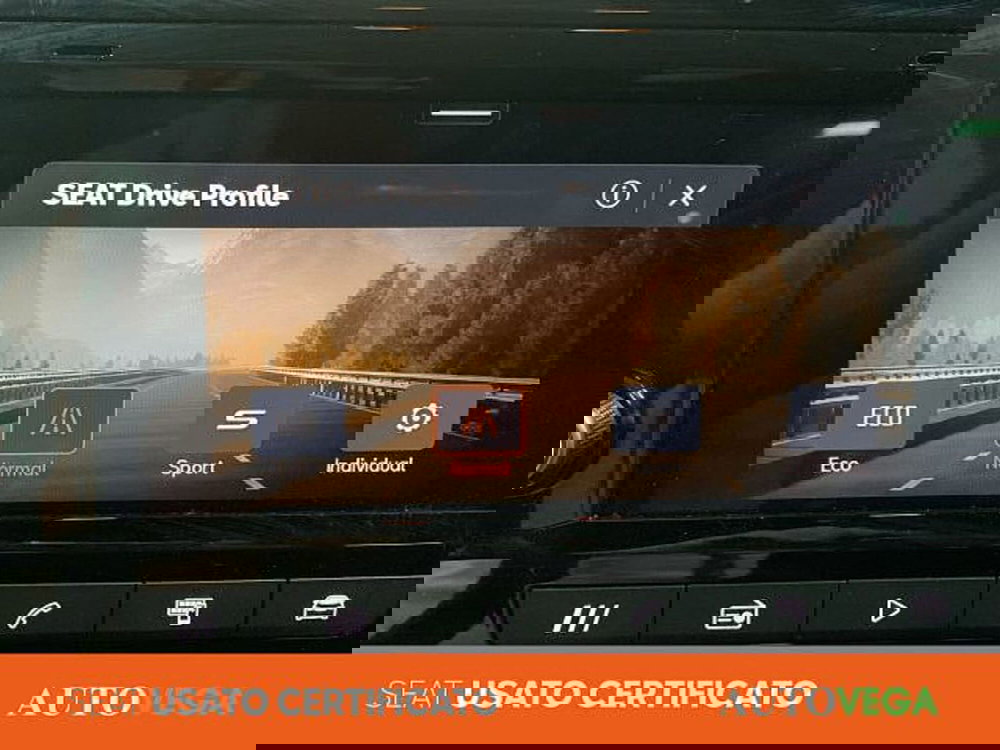 SEAT Ibiza usata a Vicenza (16)