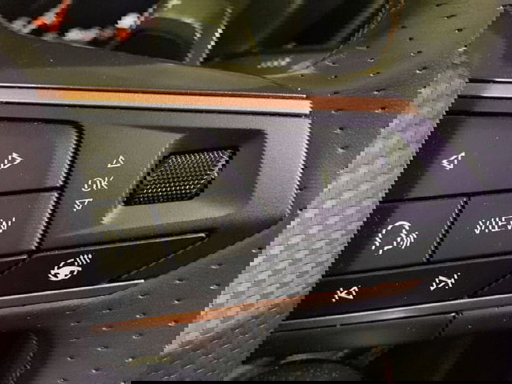 Cupra Formentor usata a Vicenza (10)