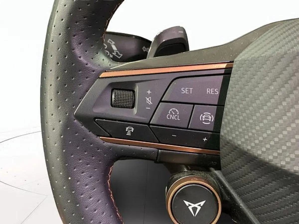 Cupra Formentor usata a Vicenza (12)