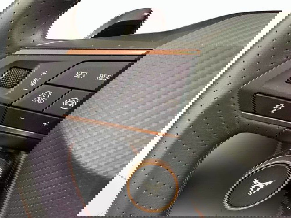 Cupra Formentor usata a Vicenza (11)