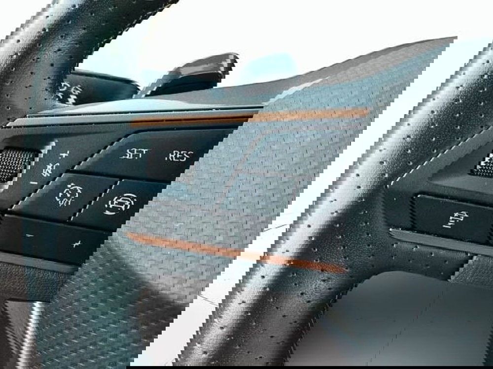 Cupra Formentor usata a Vicenza (17)