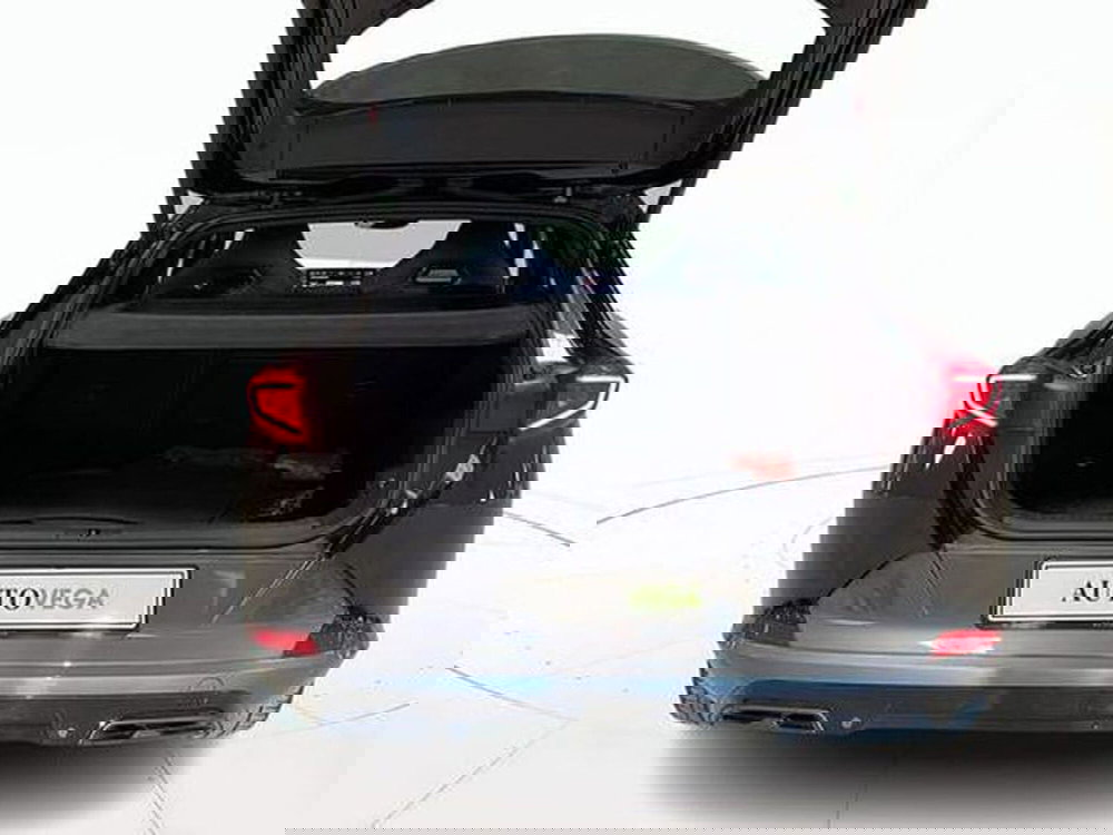 Cupra Formentor usata a Vicenza (19)