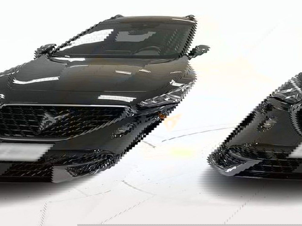 Cupra Formentor usata a Vicenza (2)