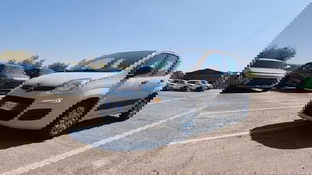 Fiat Panda usata a Firenze