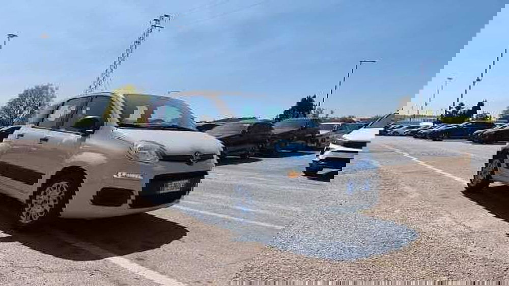 Fiat Panda usata a Firenze (13)