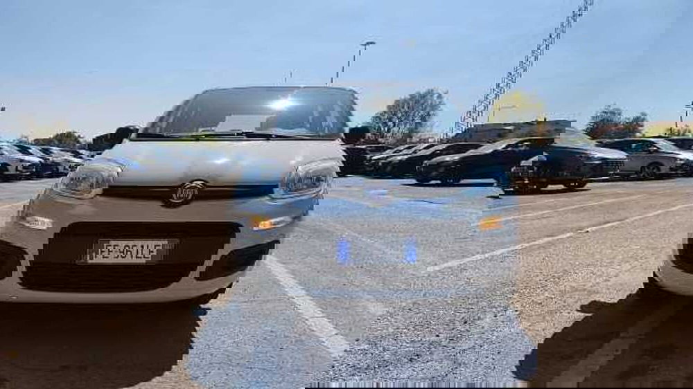 Fiat Panda usata a Firenze (14)