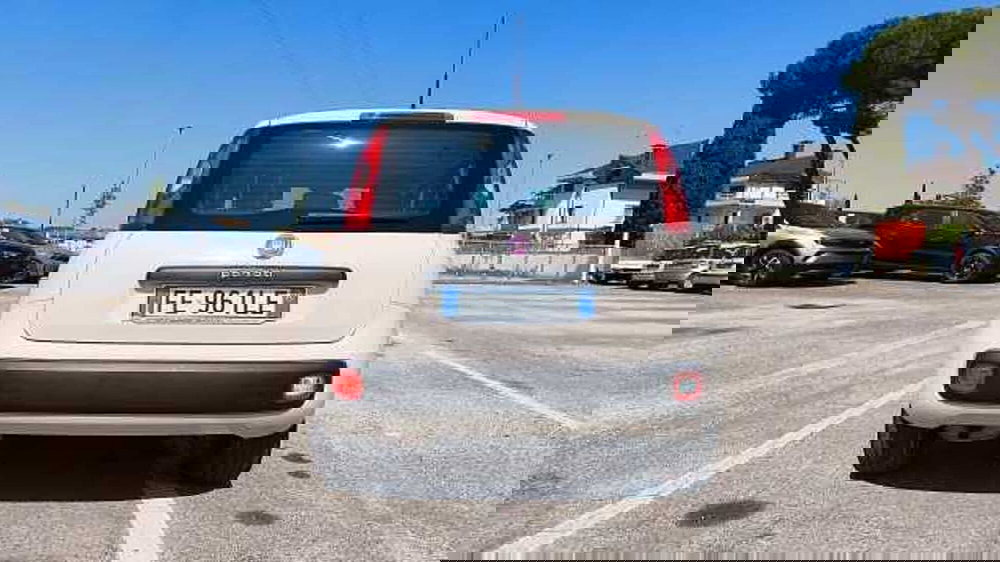 Fiat Panda usata a Firenze (7)