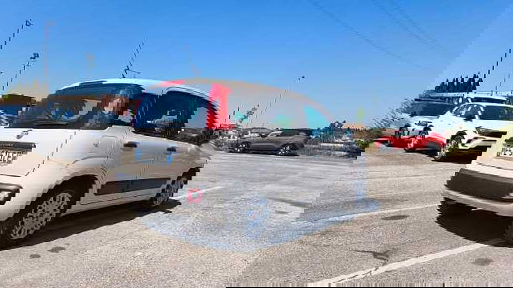 Fiat Panda usata a Firenze (9)