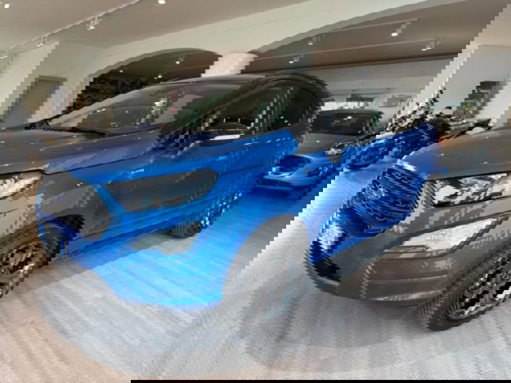 Ford EcoSport usata a Lucca