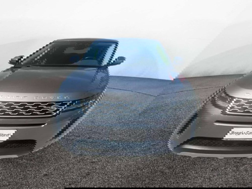 Land Rover Range Rover Evoque usata a Firenze (2)