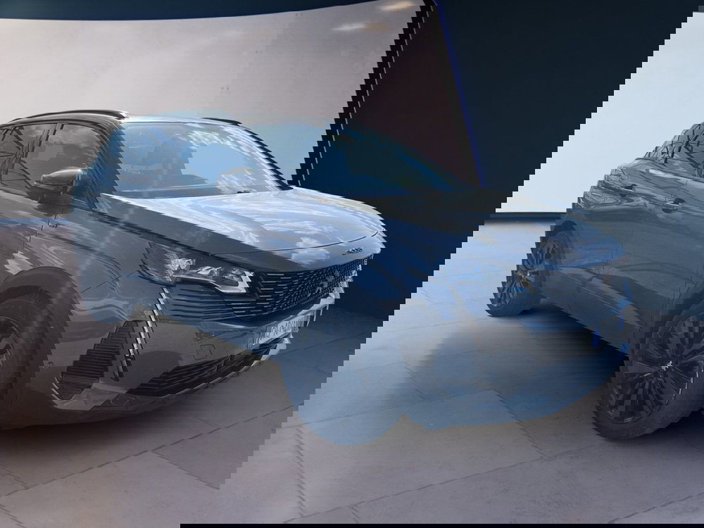 Peugeot 3008 usata a Torino (3)