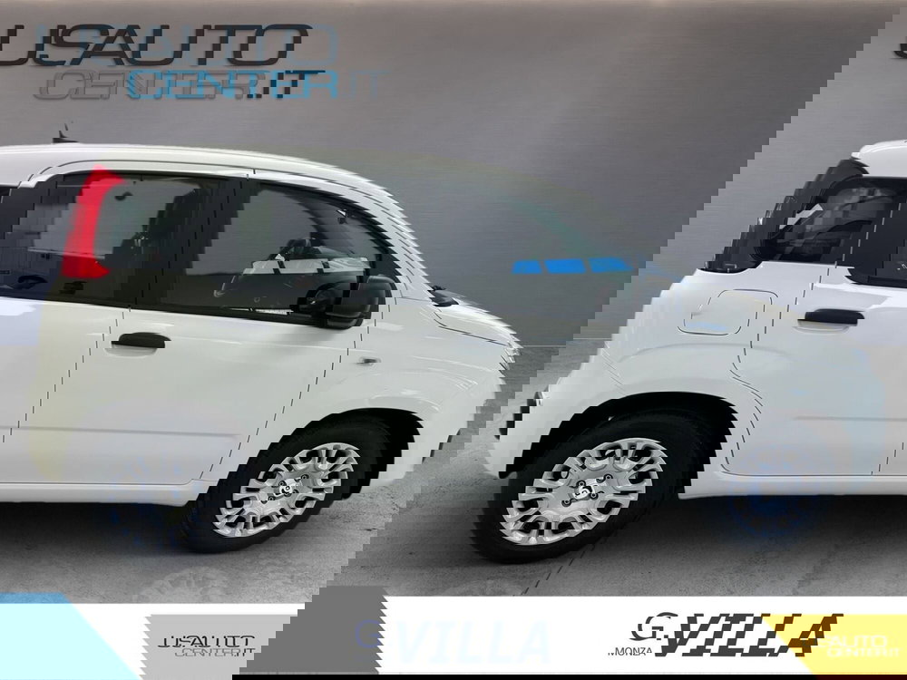 Fiat Panda usata a Monza e Brianza (3)