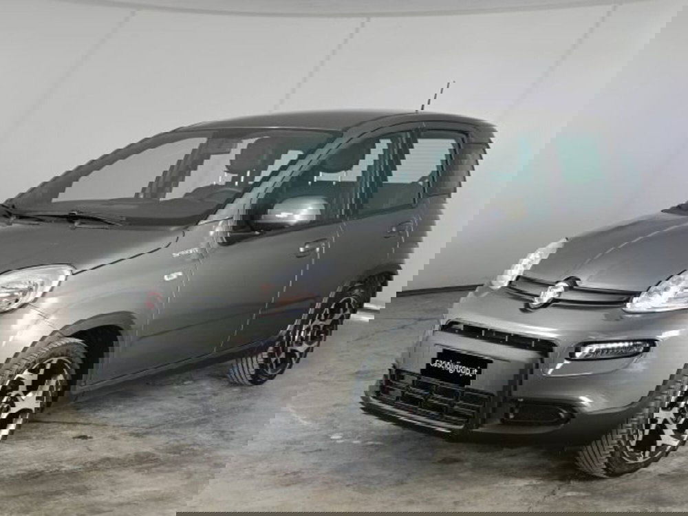 Fiat Panda usata a Teramo