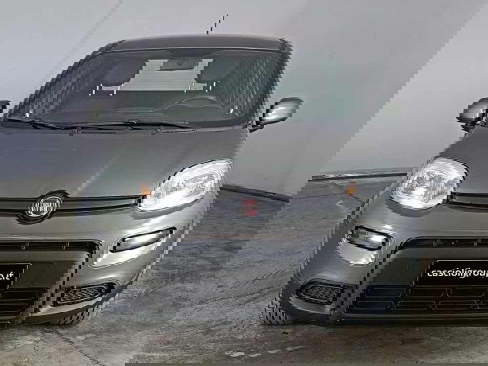 Fiat Panda usata a Teramo (2)