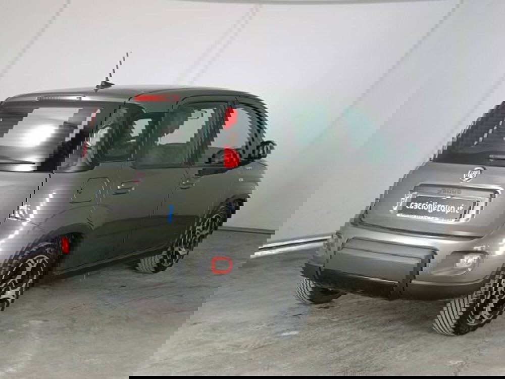 Fiat Panda usata a Teramo (4)