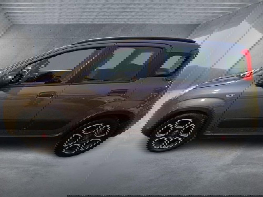 Fiat Panda usata a Bari (7)