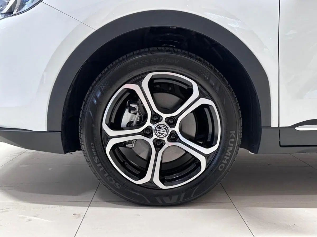Mg ZS usata a Varese (9)