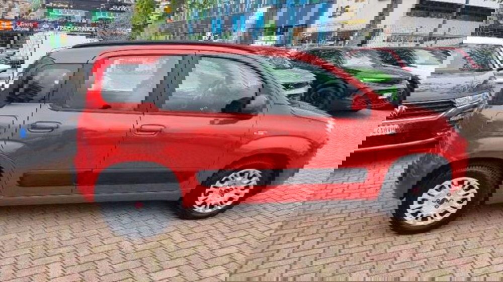 Fiat Panda usata a Savona (2)