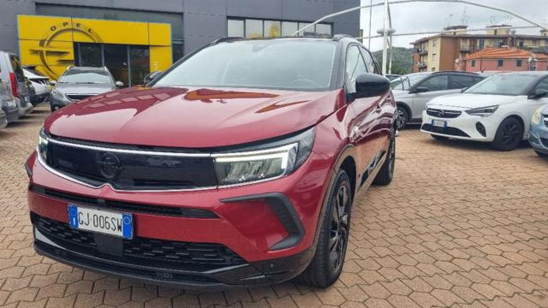 Opel Grandland usata a Savona (2)
