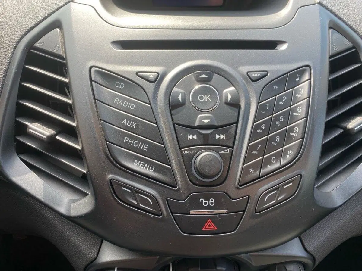 Ford EcoSport usata a Torino (10)