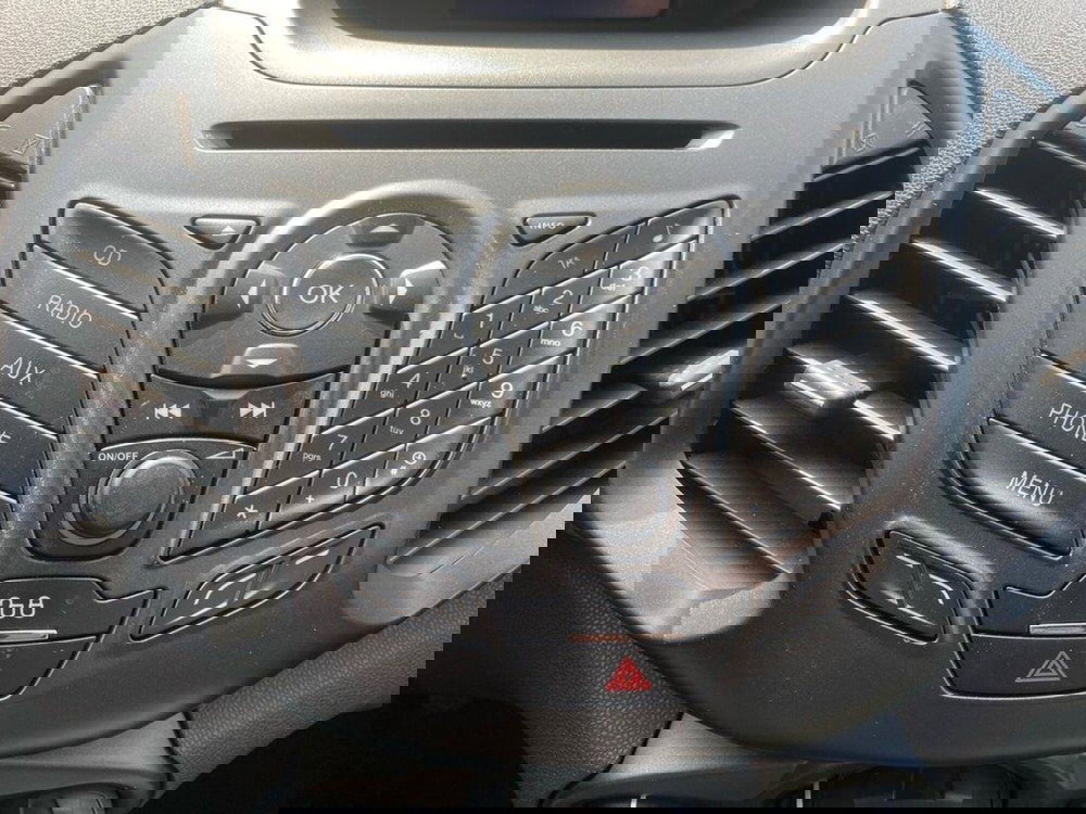 Ford EcoSport usata a Torino (10)