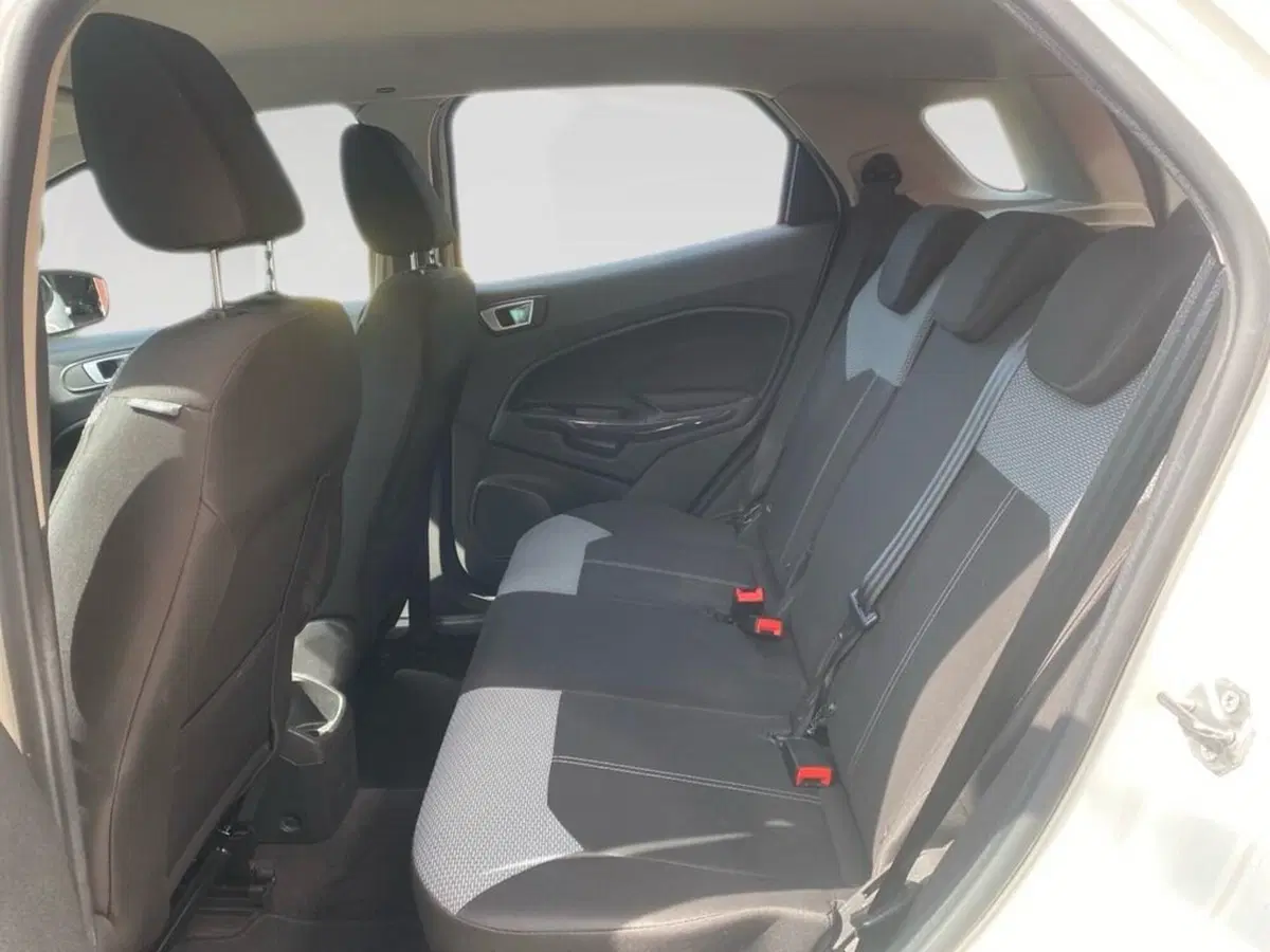 Ford EcoSport usata a Torino (7)