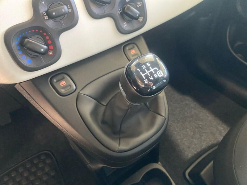 Fiat Panda Cross nuova a Torino (12)