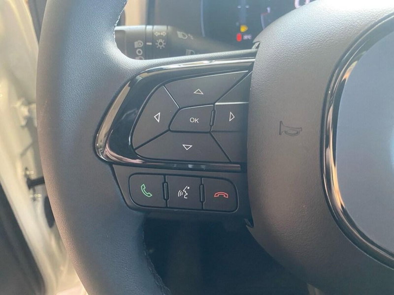 Fiat Panda Cross nuova a Torino (13)