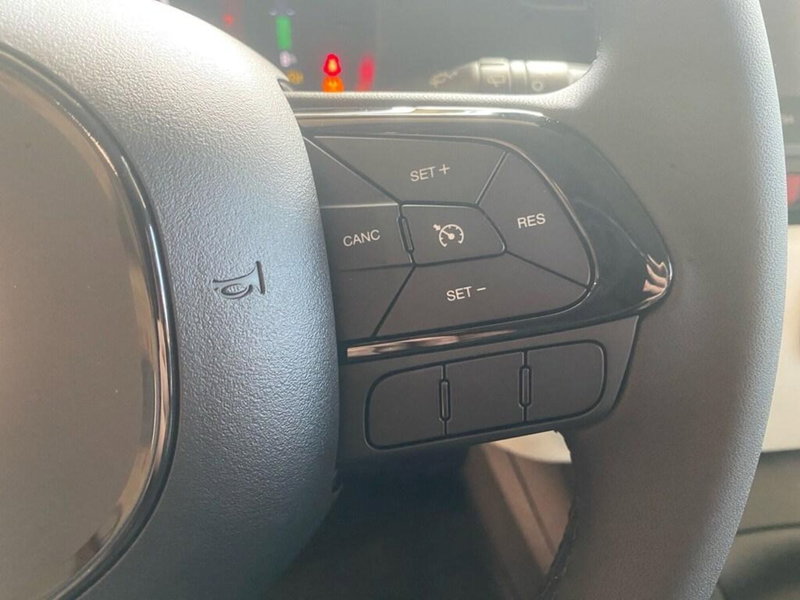 Fiat Panda Cross nuova a Torino (14)