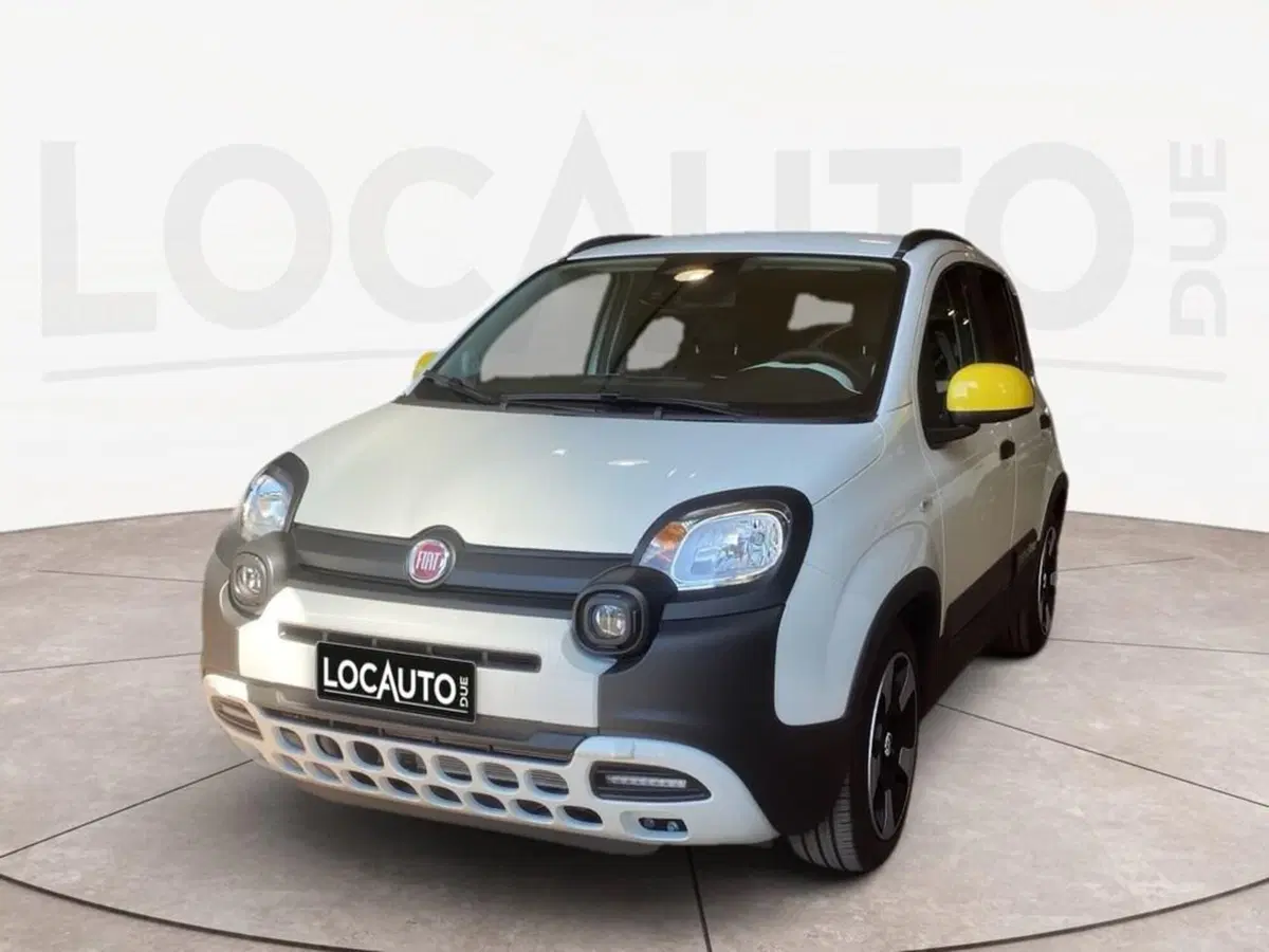 Fiat Pandina nuova a Torino