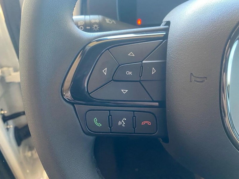 Fiat Panda Cross nuova a Torino (13)