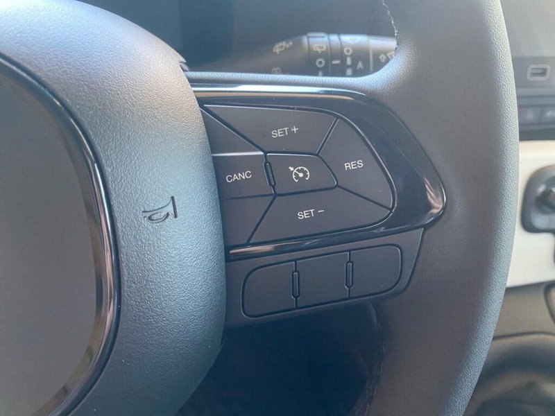 Fiat Panda Cross nuova a Torino (14)