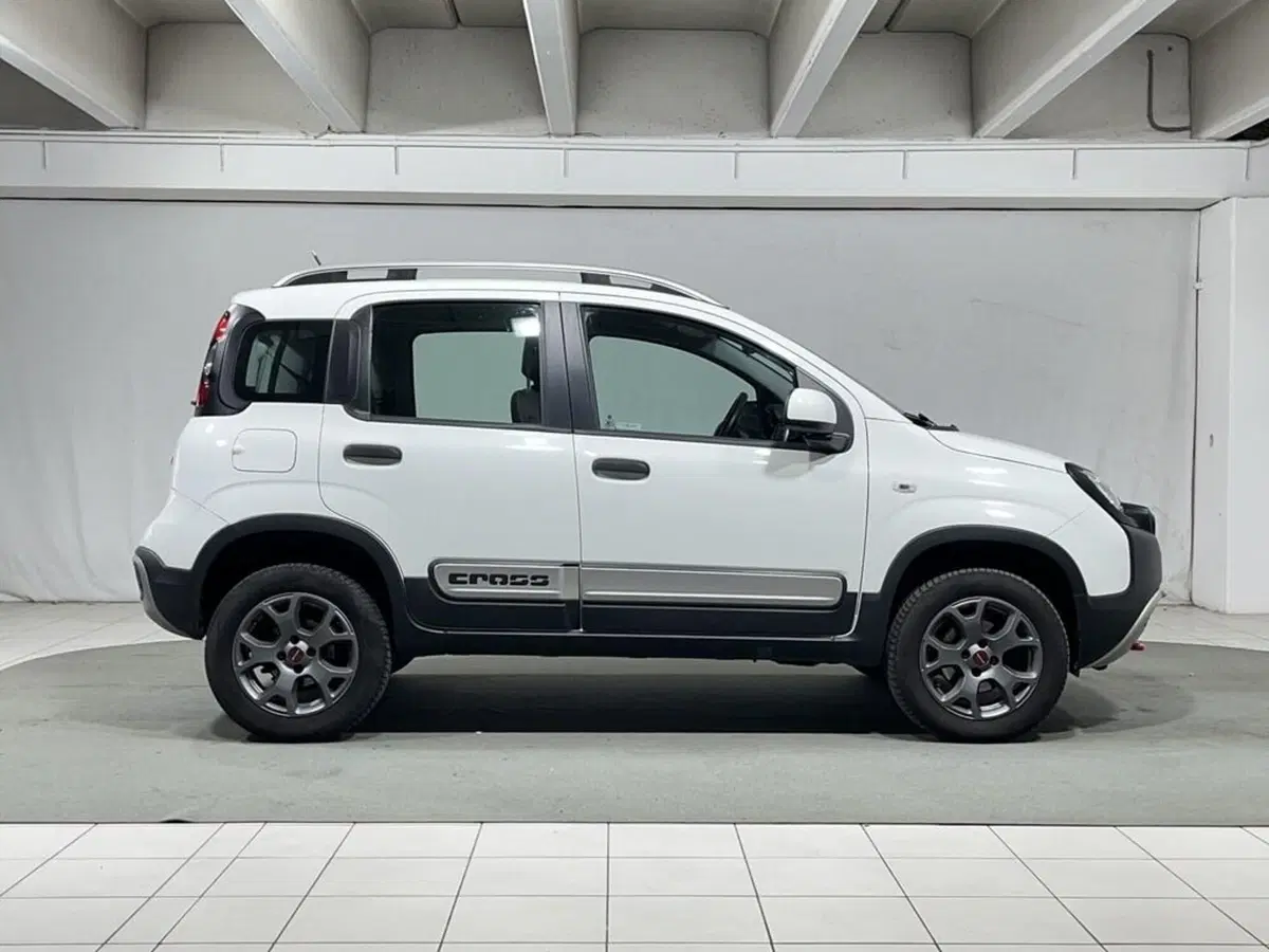 Fiat Panda Cross usata a Sondrio (6)
