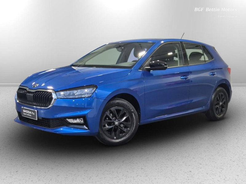 Skoda Fabia usata a Padova