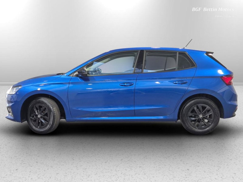 Skoda Fabia usata a Padova (2)