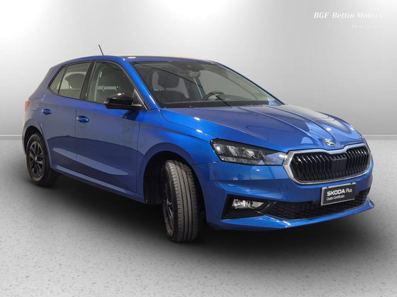 Skoda Fabia usata a Padova (4)