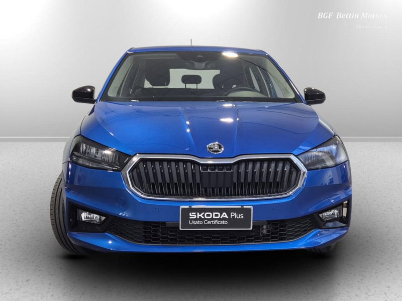 Skoda Fabia usata a Padova (7)