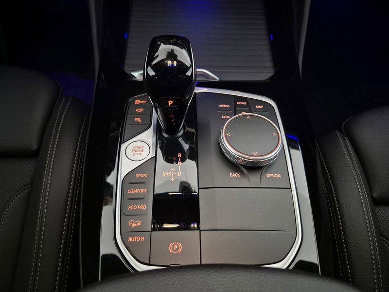 BMW X4 usata a Torino (11)