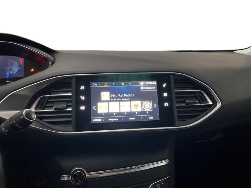 Peugeot 308 SW usata a Torino (13)